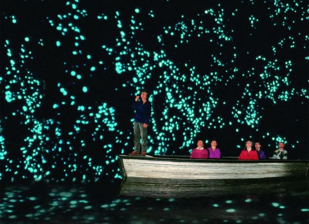 Waitomo-Glowworm-Caves_TO3