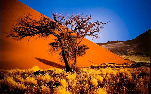 Namibia3