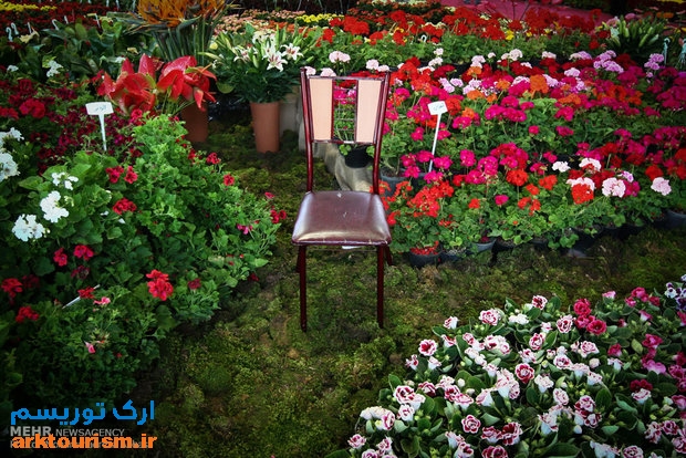 نمایشگاه گل و گیاه تهران (5)