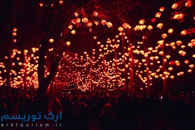 Festival Of Lights (10)